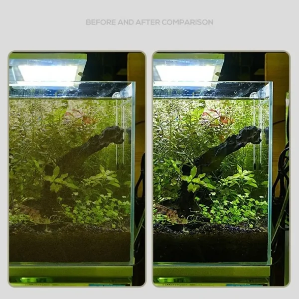 Fish Tank Algae Scraper - Image 2